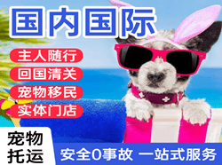 银川机场空运国际宠物托运 【国